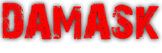 Академія змішаних бойових мистецтв MMA «ДАМАСК»